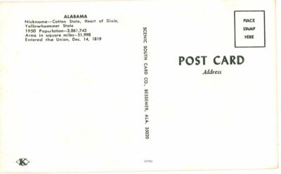 Chrome Postcard.  Alabama Flag, Flower Camellia, Bird Yellowhammer, Tree Long Leaf Pine, Coat of Arms, Fish Tarpon. - Image 2
