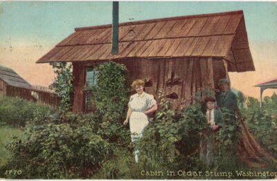Old postcard.  Cabin in Cedar Stump, Washington. Family, 1915.