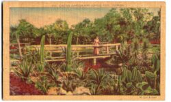 Linen postcard.  Cactus Garden and Jungle Pool, Florida.  Woman on bridge. 1943.