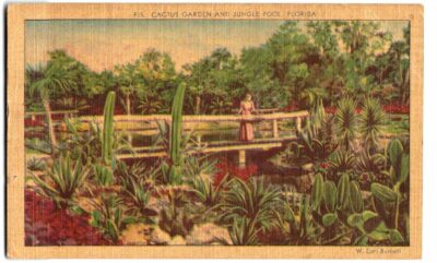 Linen postcard.  Cactus Garden and Jungle Pool, Florida.  Woman on bridge. 1943.