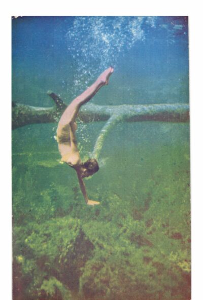 Chrome postcard.  Diving Girl at Silver Springs, Florida.