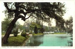 White border postcard.  The Lake, Magnolia Cemetery, Charleston, South Carolina. 1910.