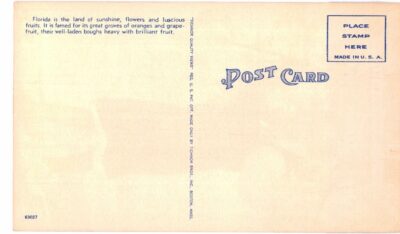 Linen postcard.  He'p yo'se'f to grapefruit from sunny Florida.  Black child, boy. - Image 2