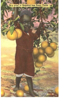 Linen postcard.  He'p yo'se'f to grapefruit from sunny Florida.  Black child, boy.