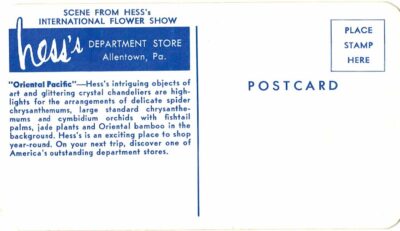 Chrome postcard.  Hess's Department Store, Allentown, Pennsylvania. International Flower Show.  Oriental Pacific. - Image 2