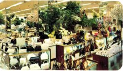 Chrome postcard.  Hess's Department Store, Allentown, Pennsylvania. International Flower Show.  Oriental Pacific.