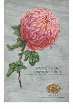 Old postcard. November, Chrysanthemum, loveliness and cheerfulness, Topaz, fidelity in friendship, embossed.