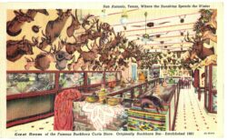 Linen postcard.  East Room Buckhorn Curio Store, Buckhorn Bar, San Antonio, Texas, 1941.