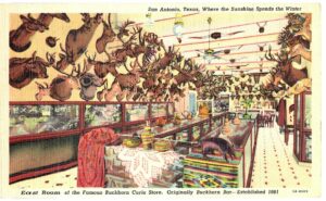 Linen postcard.  East Room Buckhorn Curio Store, Buckhorn Bar, San Antonio, Texas, 1941.