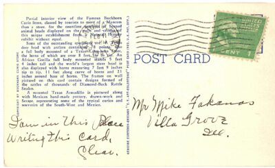 Linen postcard.  East Room Buckhorn Curio Store, Buckhorn Bar, San Antonio, Texas, 1941. - Image 2