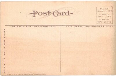 Old postcard.  Long timber, 125 feet, Bellingham, Washington. logs, train. - Image 2