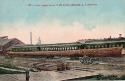 Old postcard.  Long timber, 125 feet, Bellingham, Washington. logs, train.