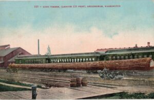 Old postcard.  Long timber, 125 feet, Bellingham, Washington. logs, train.