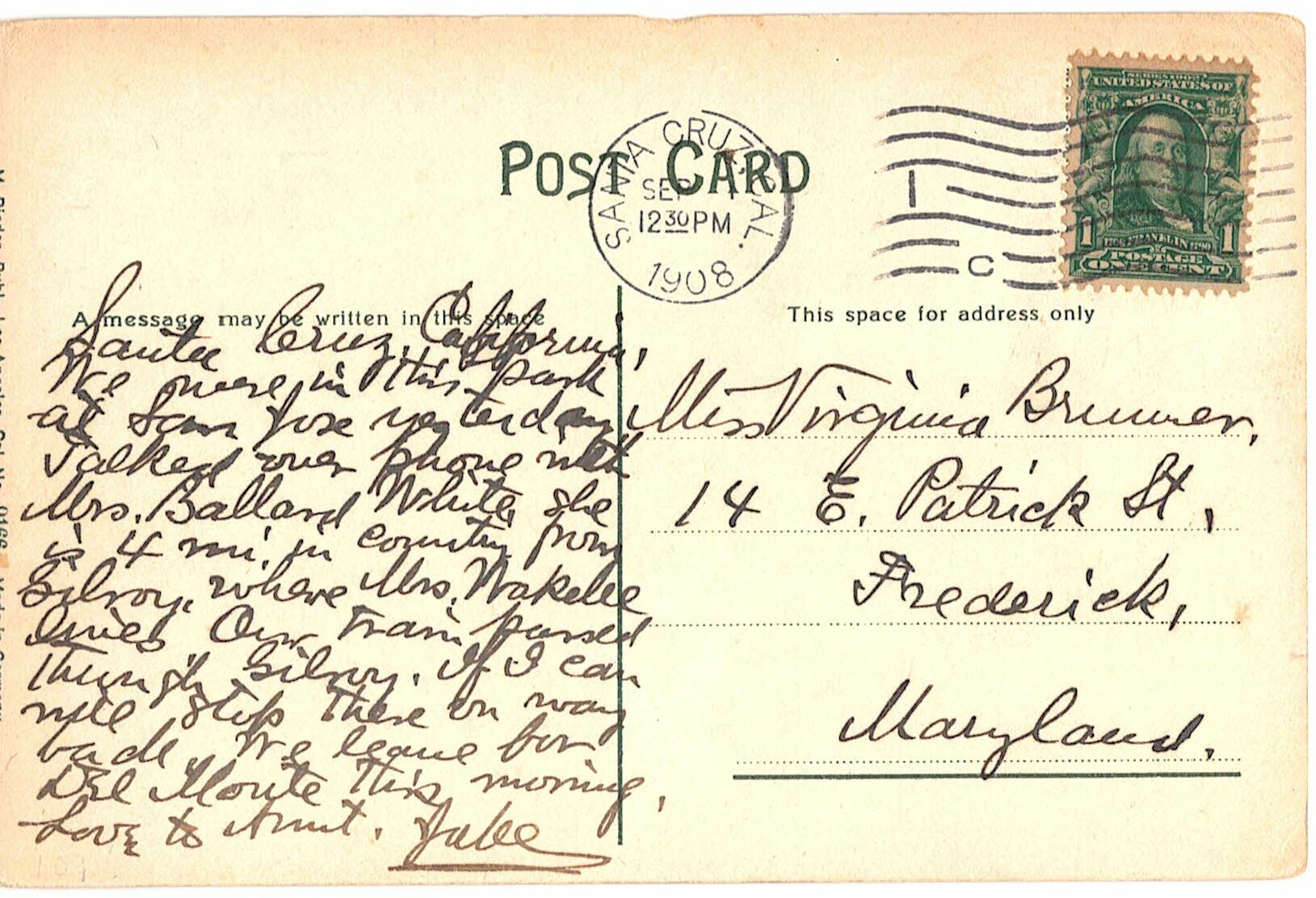 Old postcard. Children's Play Ground, Alum Rock Park, San Jose, California. 1908. - Image 2