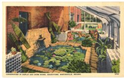 Linen postcard.  Conservatory at Display and show rooms, Grassyfork, Martinsville, Indiana. Grassyfork Fisheries.