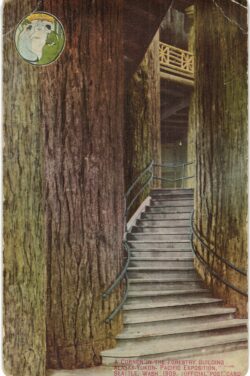 Old postcard.  Alaska Yukon Pacific Exposition.  A corner in the Forestry Building, Seattle, Washington. 1909.