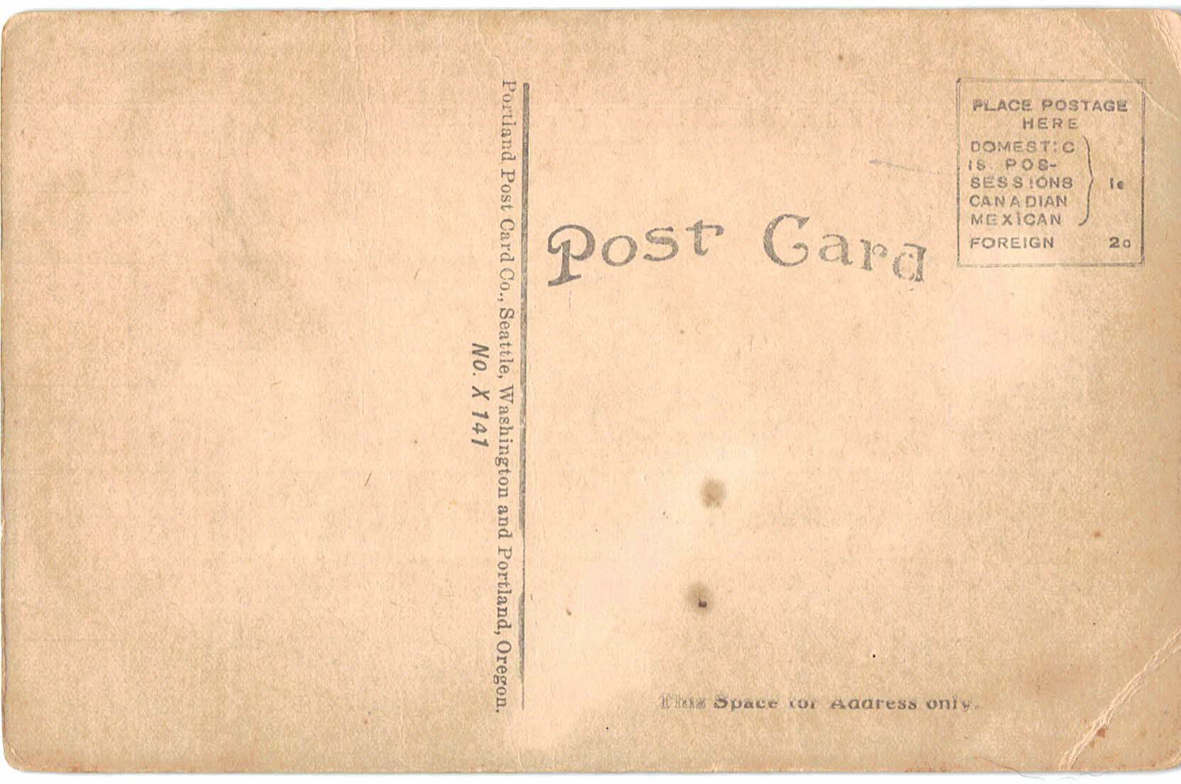 Old postcard. Alaska Yukon Pacific Exposition. A corner in the Forestry Building, Seattle, Washington. 1909. - Image 2