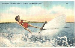 Linen postcard.  Daredevil aqua planing at  Cypress Gardens.  Aqua-maid, Katy Turner. Waterskiing.