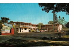 Chrome postcard.  Skylark Motel, Riverside, California. Hosts: McIlroys