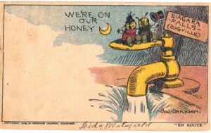 Old postcard.  We've on our honeymoon, Niagara Falls, Bugville.  Bugs on faucet.  Paul Bransom. 1906.   Undivided back.