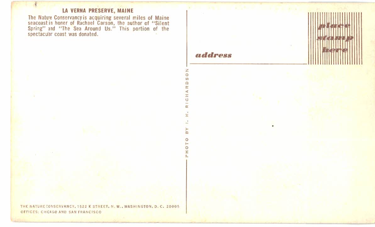 Chrome postcard. La Verna Preserve, Maine. Nature Conservancy. Seacoast, ocean. - Image 2