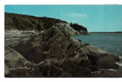 Chrome postcard.  La Verna Preserve, Maine. Nature Conservancy. Seacoast, ocean.