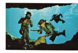 Chrome postcard.  Divers demonstrate underwater Scuba equipment at Silver Springs, Florida. Camera, spear gun.