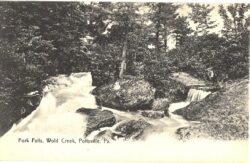 Old postcard.  Fork Falls, Wold Creek, Pottsville, Pennsylvania.